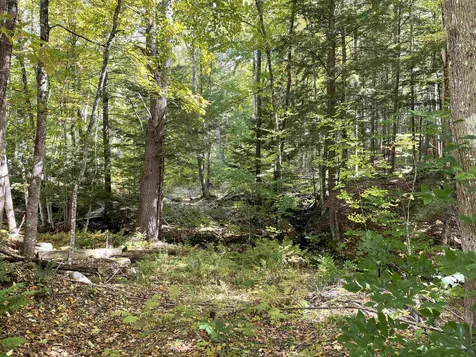 40 Griffin Hill Road Alstead NH 03602