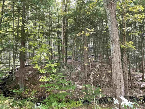 40 Griffin Hill Road Alstead NH 03602
