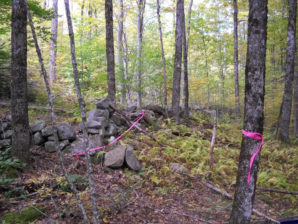 00 Peterson Road Topsham VT 05076