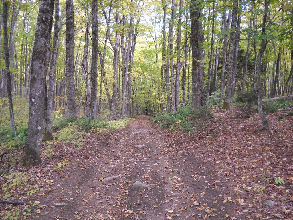 00 Peterson Road Topsham VT 05076