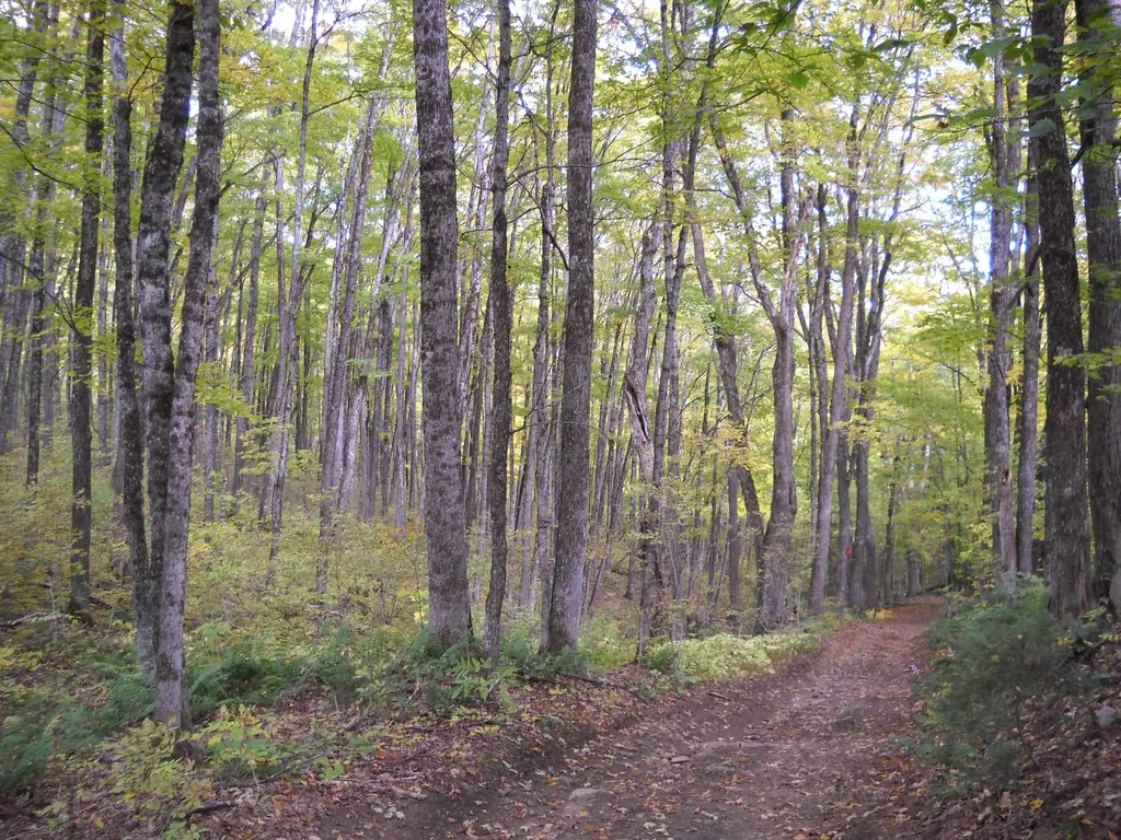 00 Peterson Road Topsham VT 05076