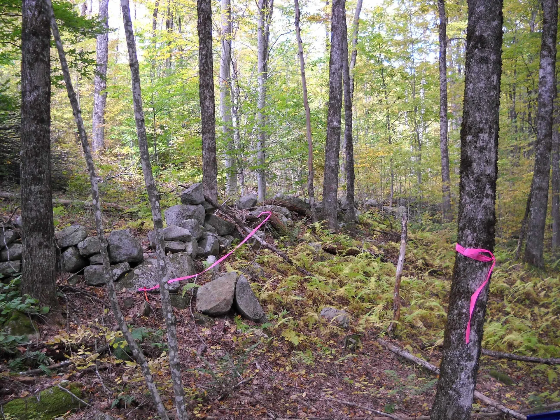 00 Peterson Road Topsham VT 05076