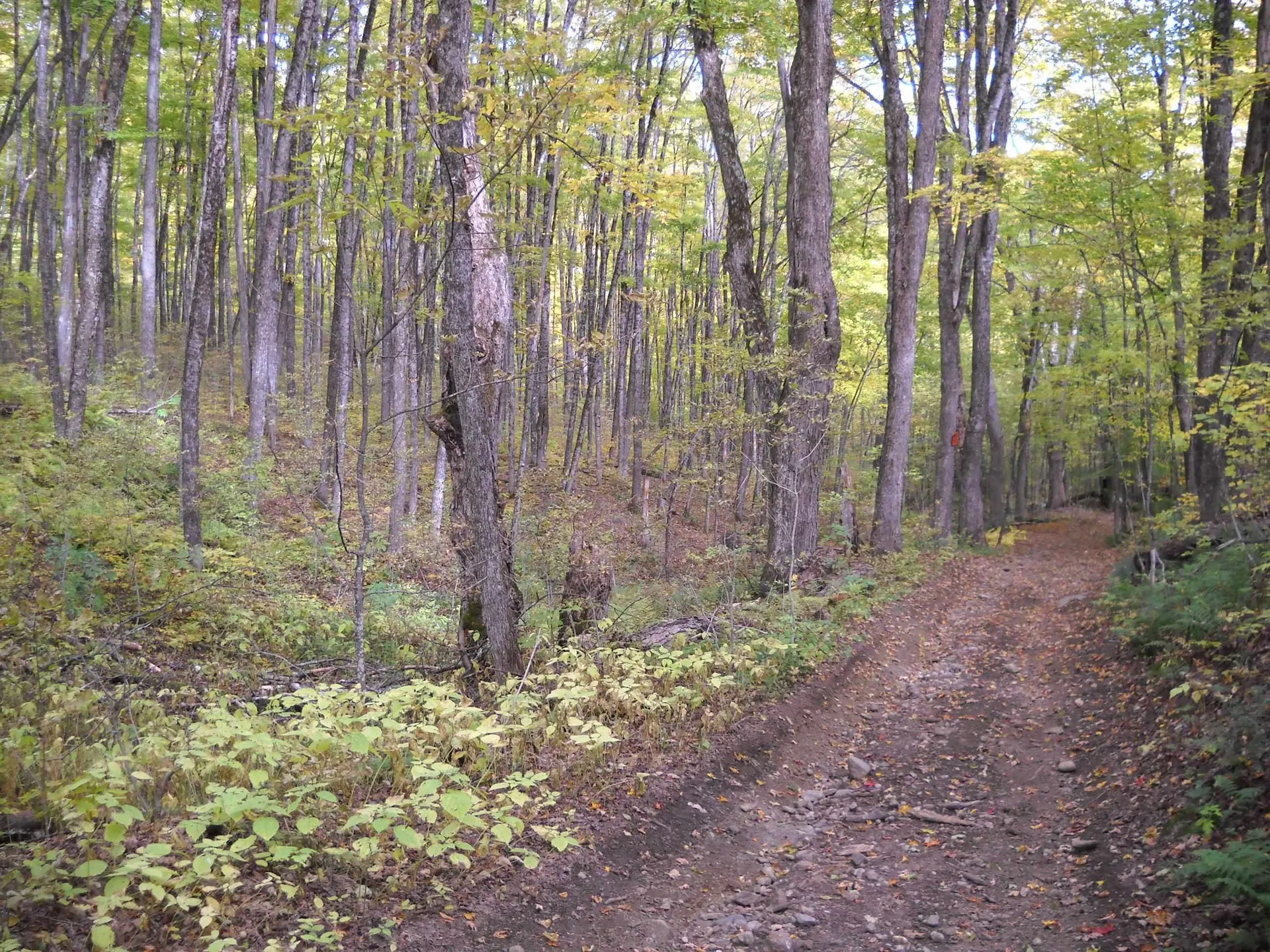 00 Peterson Road Topsham VT 05076