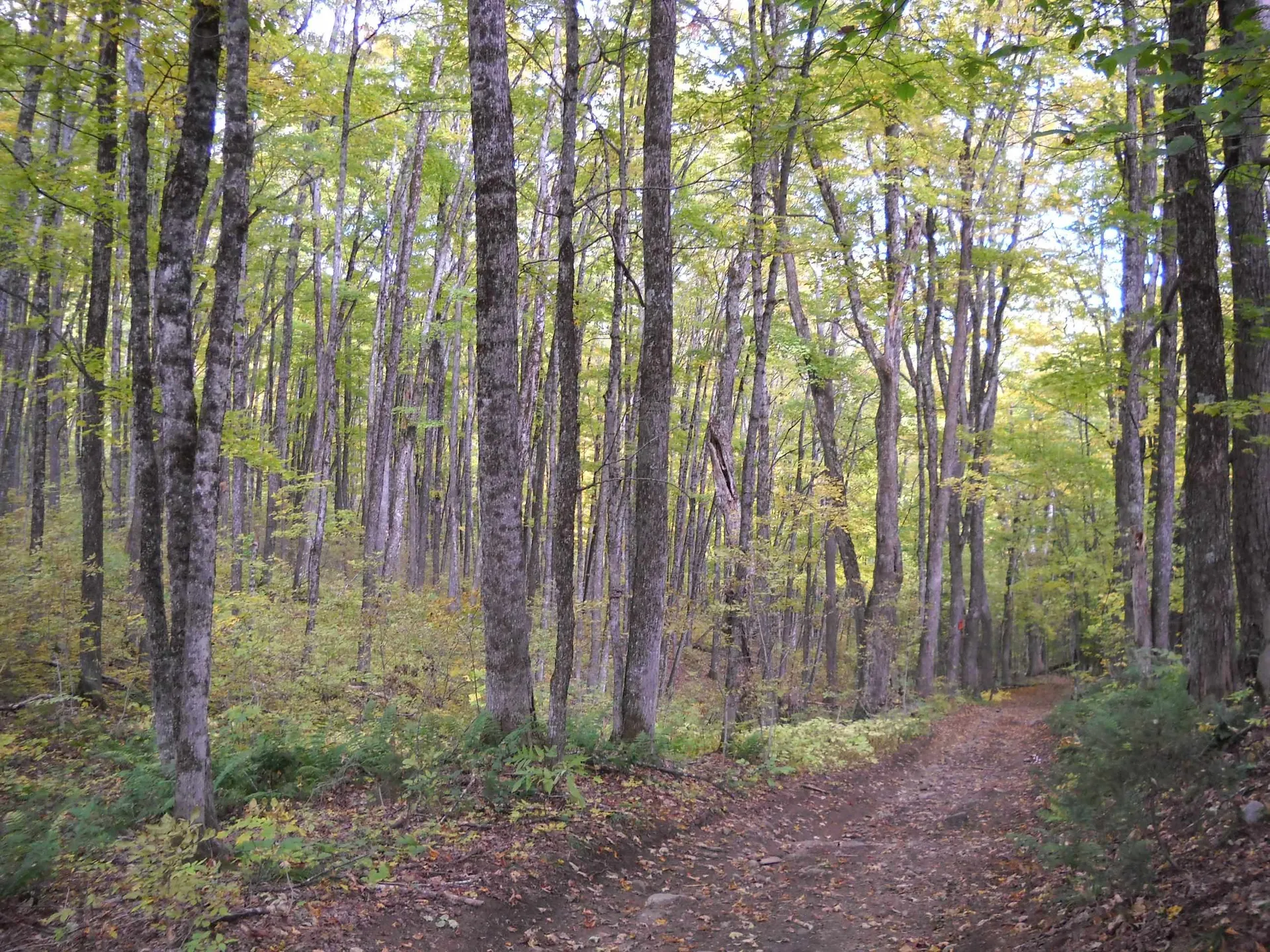00 Peterson Road Topsham VT 05076