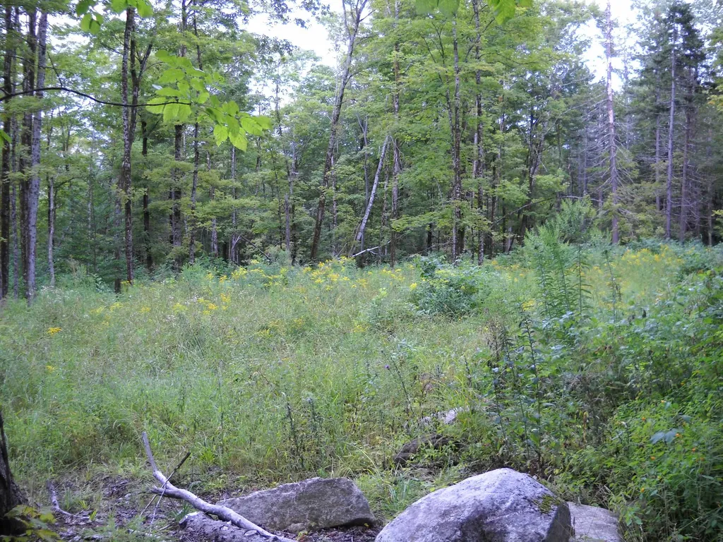00 Kasson Road Topsham VT 05076