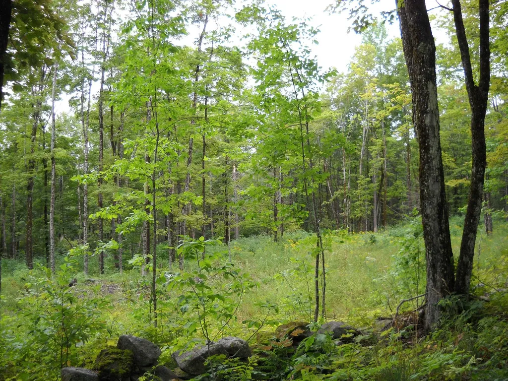 00 Kasson Road Topsham VT 05076