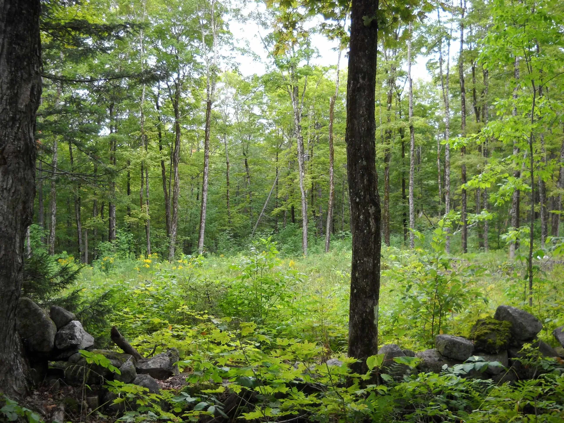 00 Kasson Road Topsham VT 05076