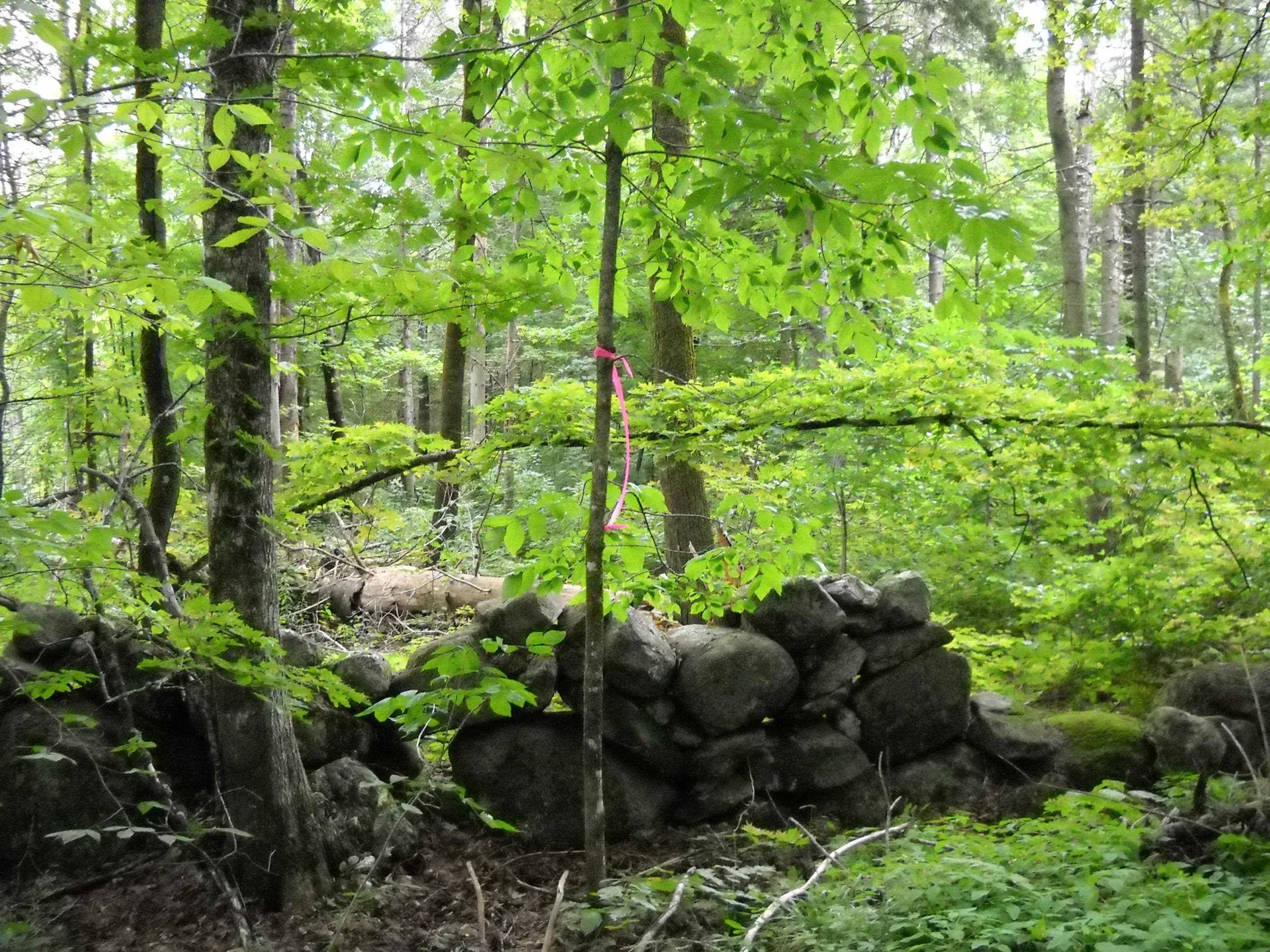 00 Kasson Road Topsham VT 05076