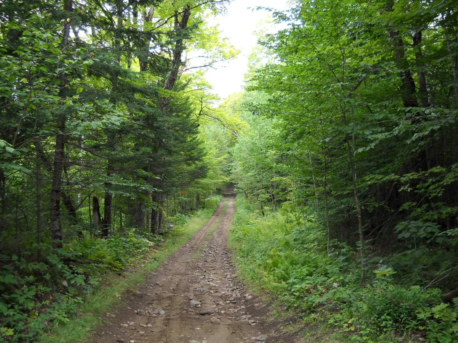 00 Kasson Road Topsham VT 05076