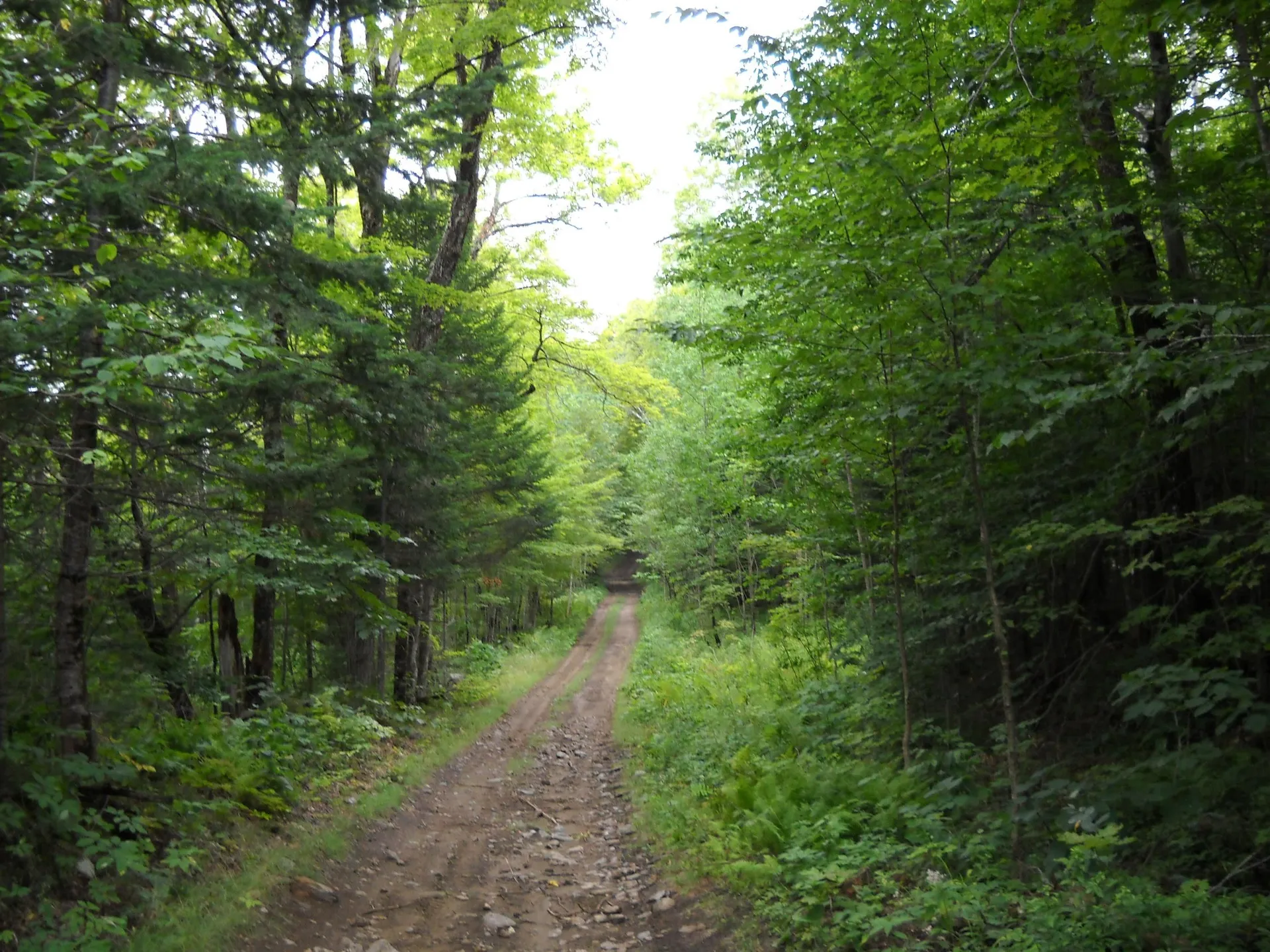 00 Kasson Road Topsham VT 05076