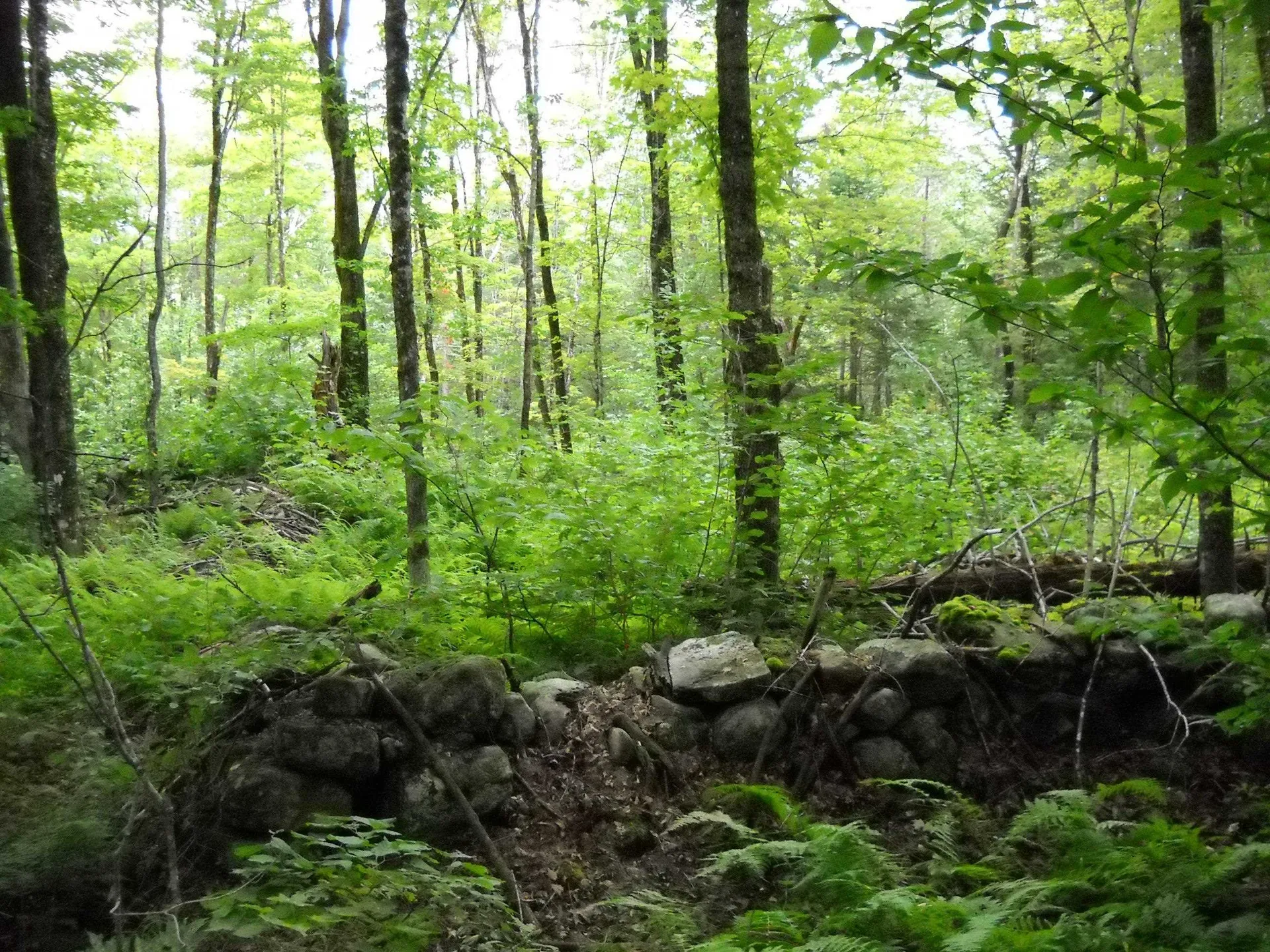 00 Kasson Road Topsham VT 05076