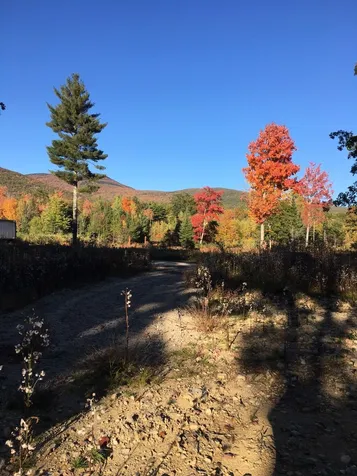 40 Mountain Shadows Drive Tuftonboro NH 03816
