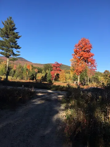 40 Mountain Shadows Drive Tuftonboro NH 03816