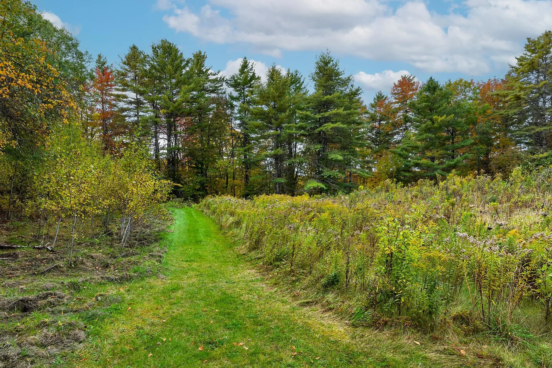 3087 Johnson Hill Road Royalton VT 05068