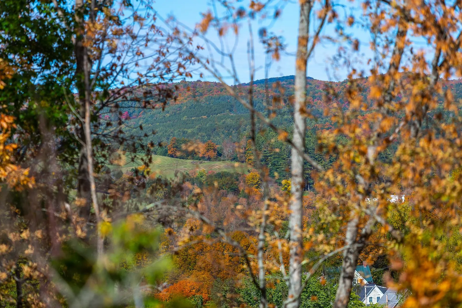 10 Linden Hill Woodstock VT 05091