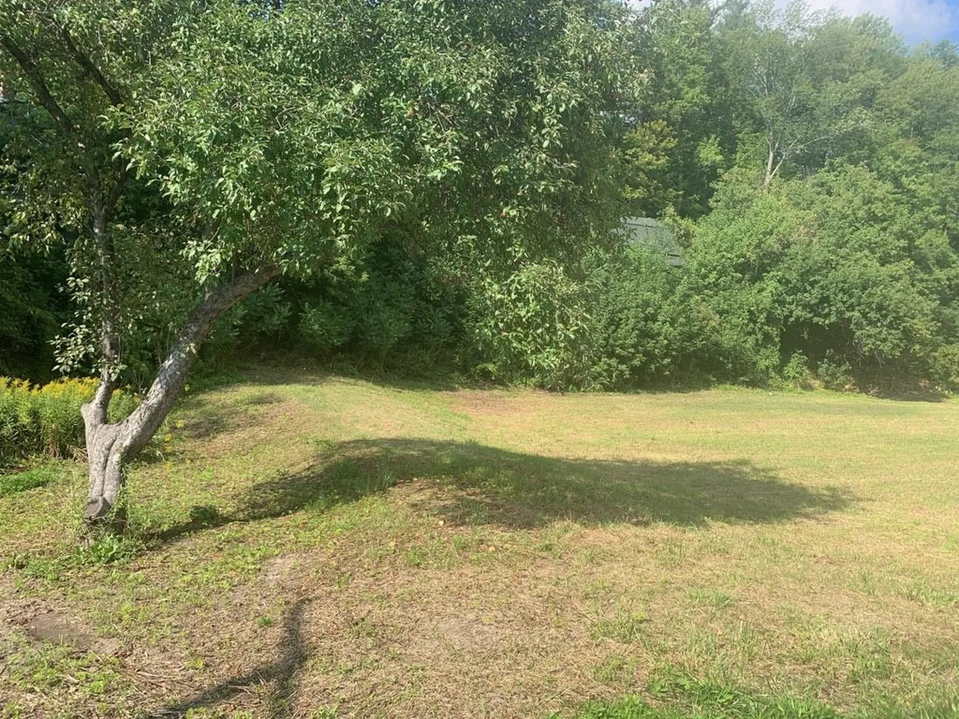 853 Rose Hill Road Woodstock VT 05091