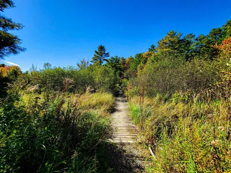 34 Thomas Lane Essex VT 05452