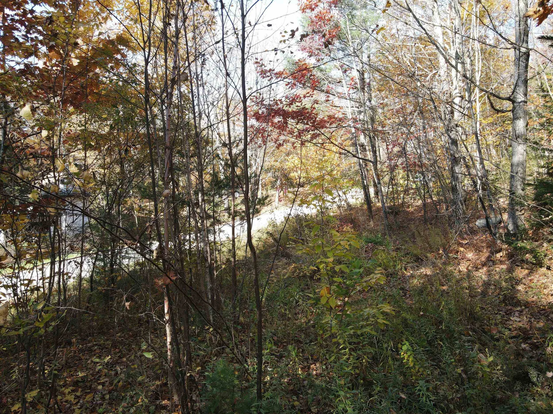 300 Great Hawk Road Rochester VT 05767