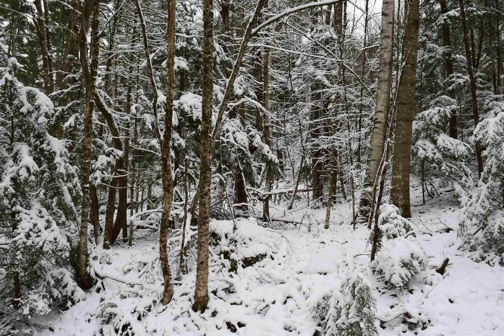Lot 72 Vernon Drive Haverhill NH 03765
