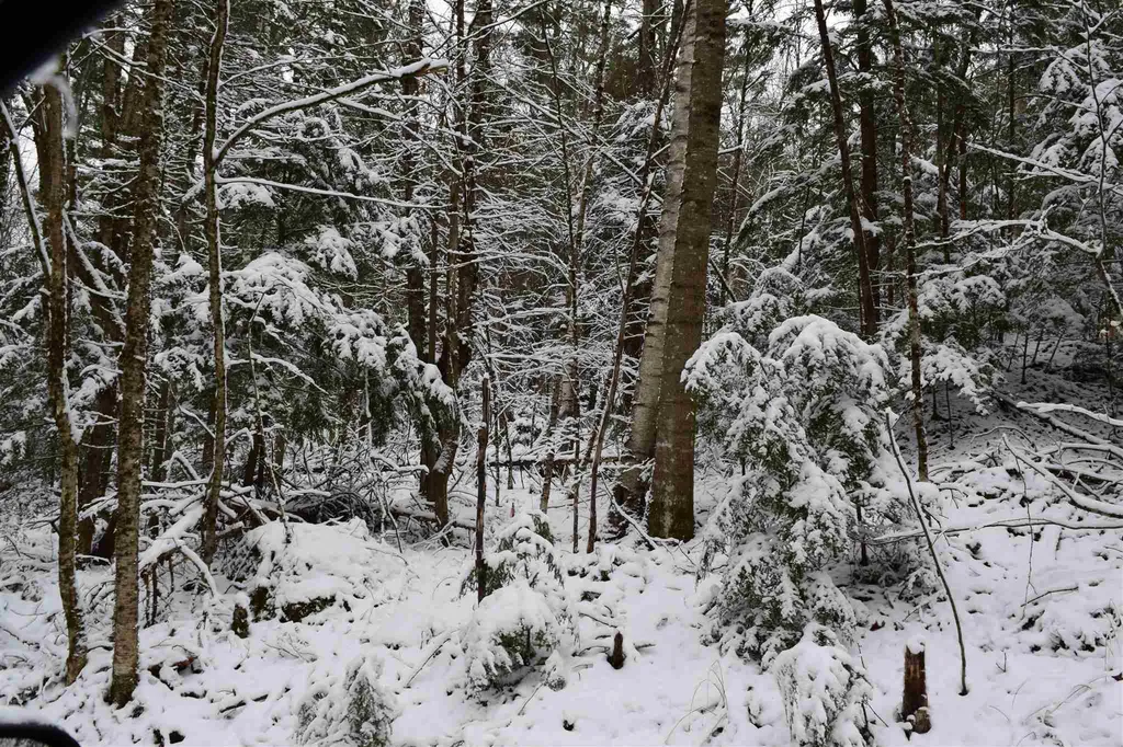 Lot 72 Vernon Drive Haverhill NH 03765