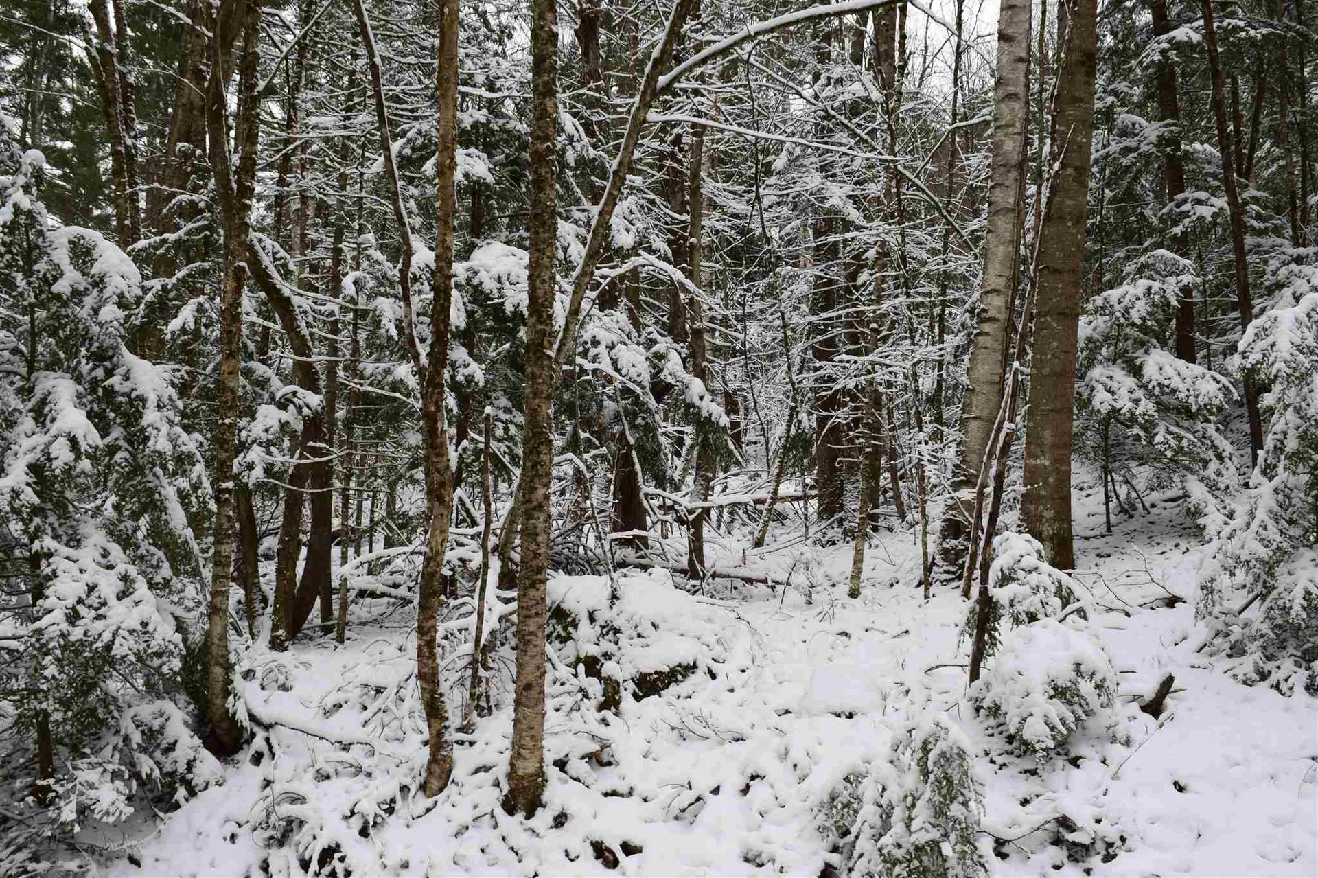 Lot 72 Vernon Drive Haverhill NH 03765
