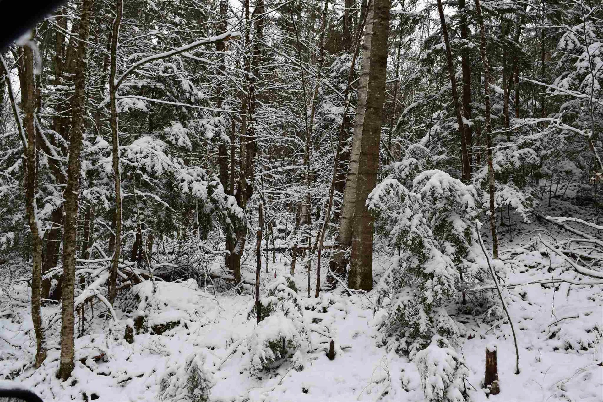 Lot 72 Vernon Drive Haverhill NH 03765