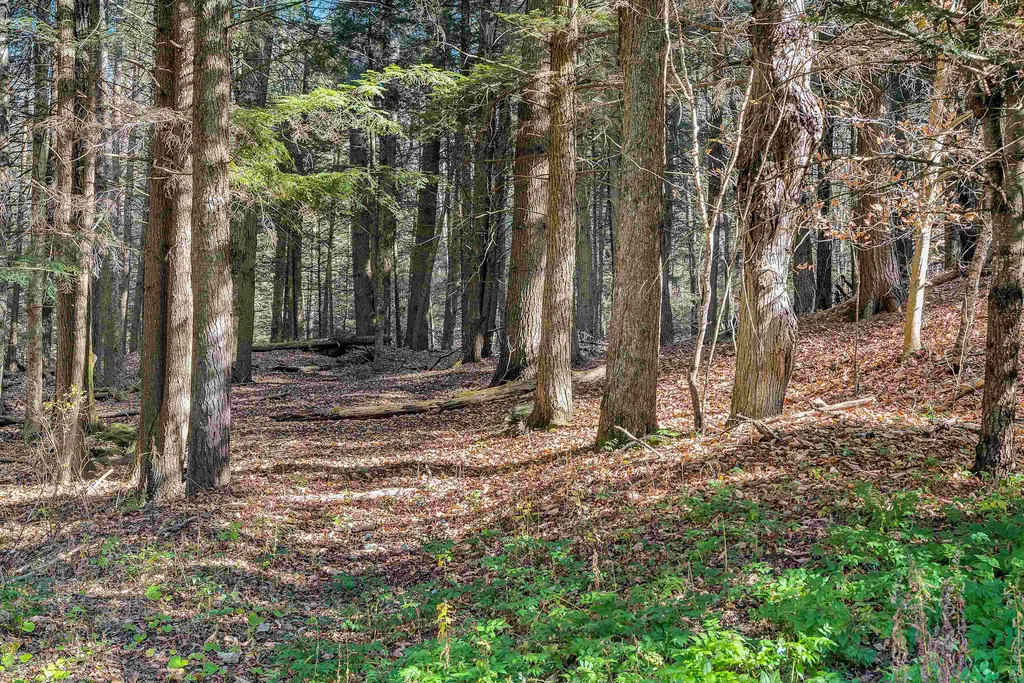 871 Church Hill Road Woodstock VT 05091