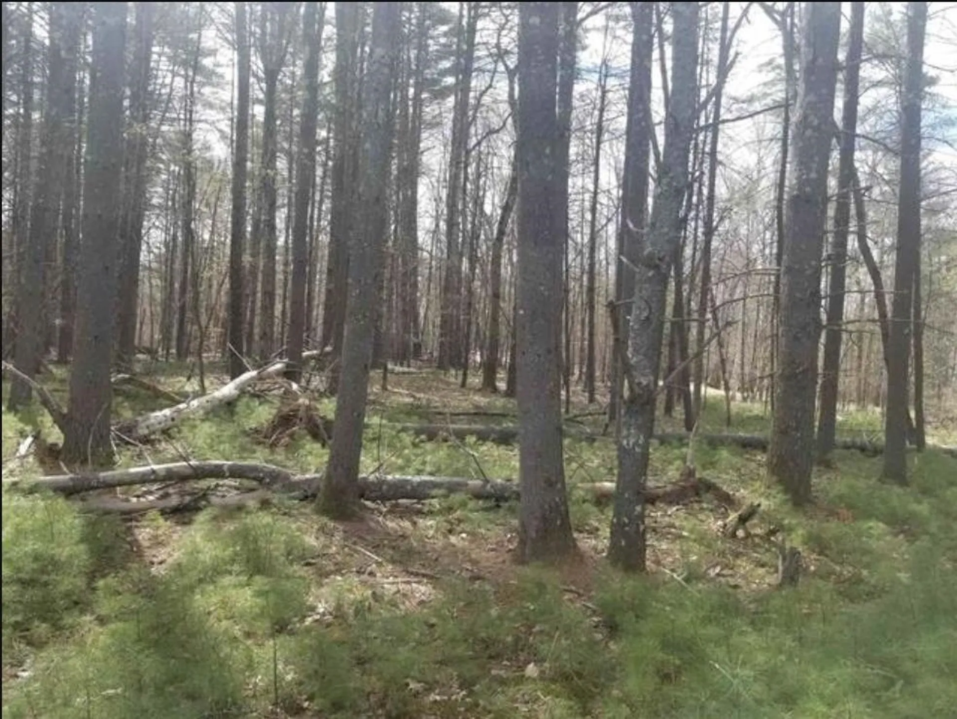 21b Lovejoy Sands Road Meredith NH 03285