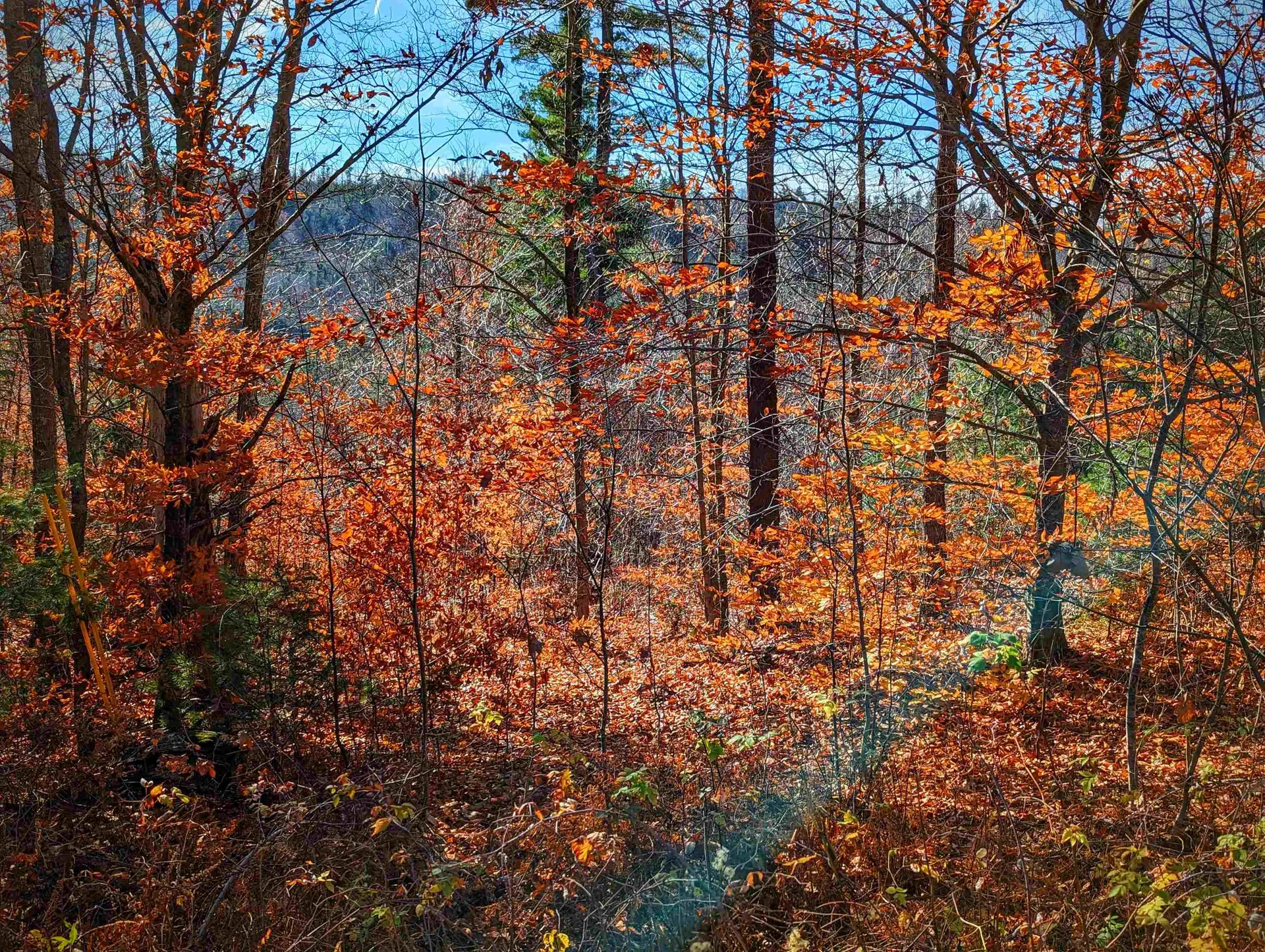 00 Hill Top View Drive Haverhill NH 03774