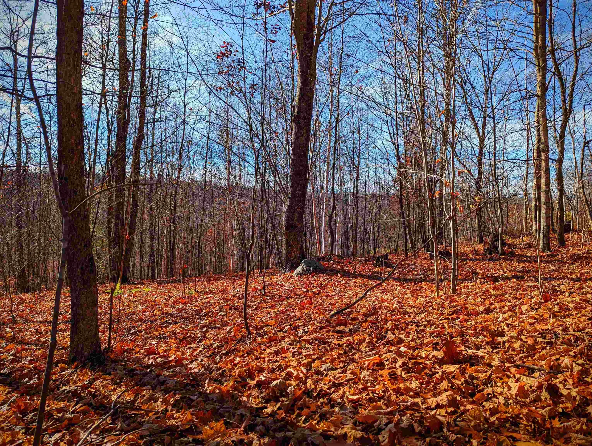 00 Hill Top View Drive Haverhill NH 03774