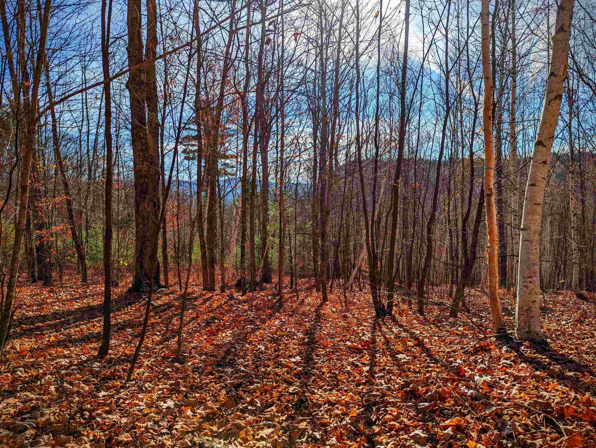 00 Hill Top View Drive Haverhill NH 03774