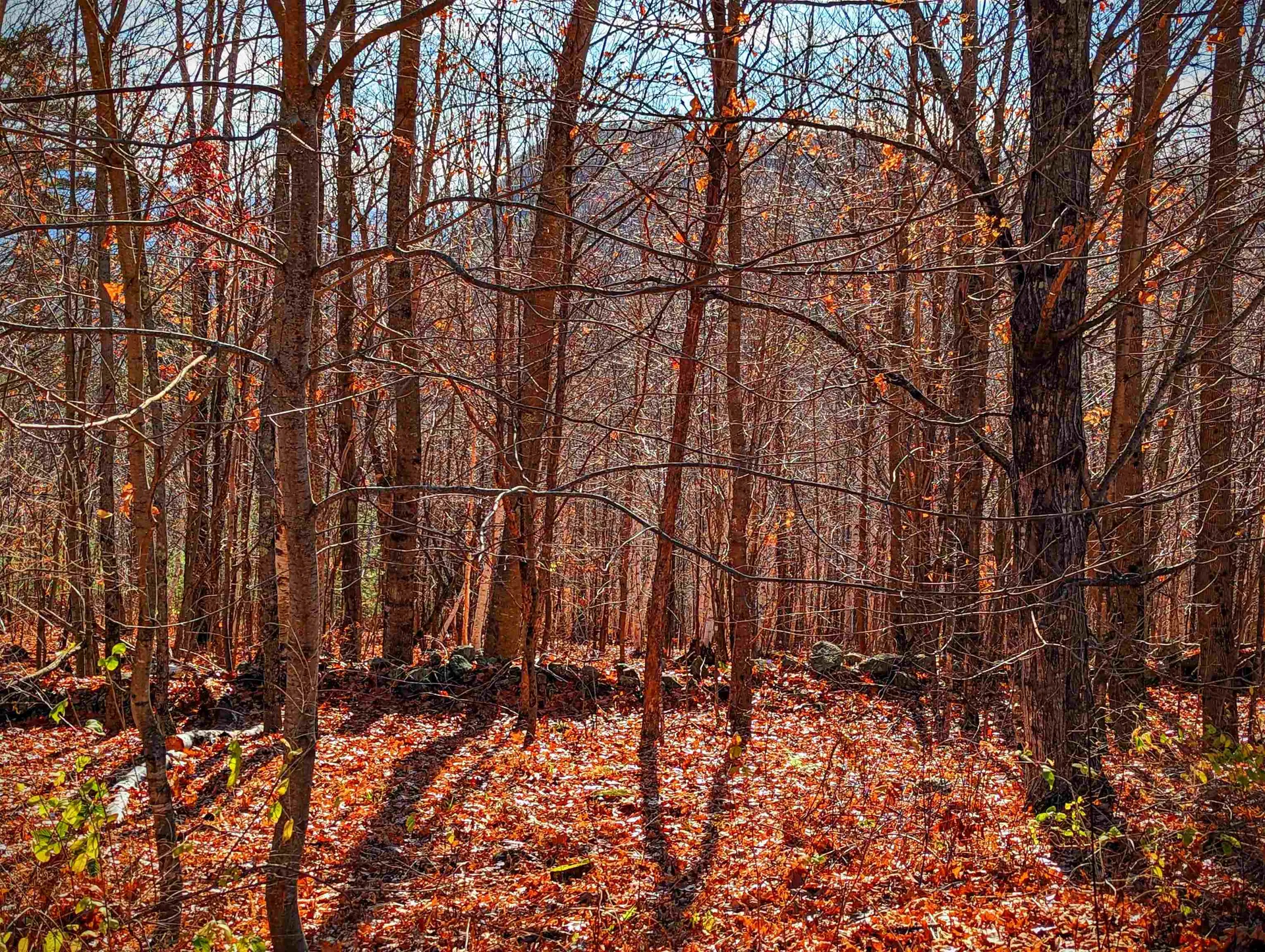 00 Hill Top View Drive Haverhill NH 03774