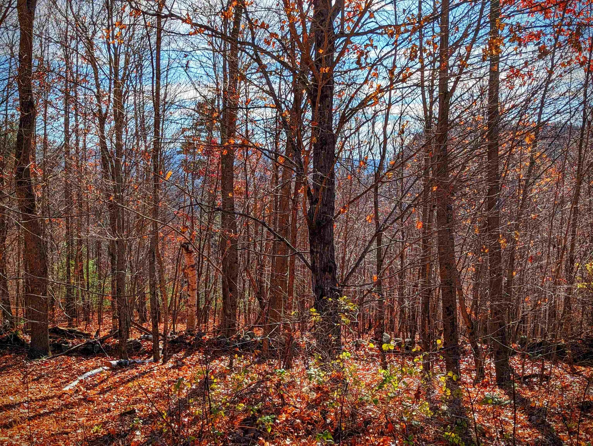 00 Hill Top View Drive Haverhill NH 03774