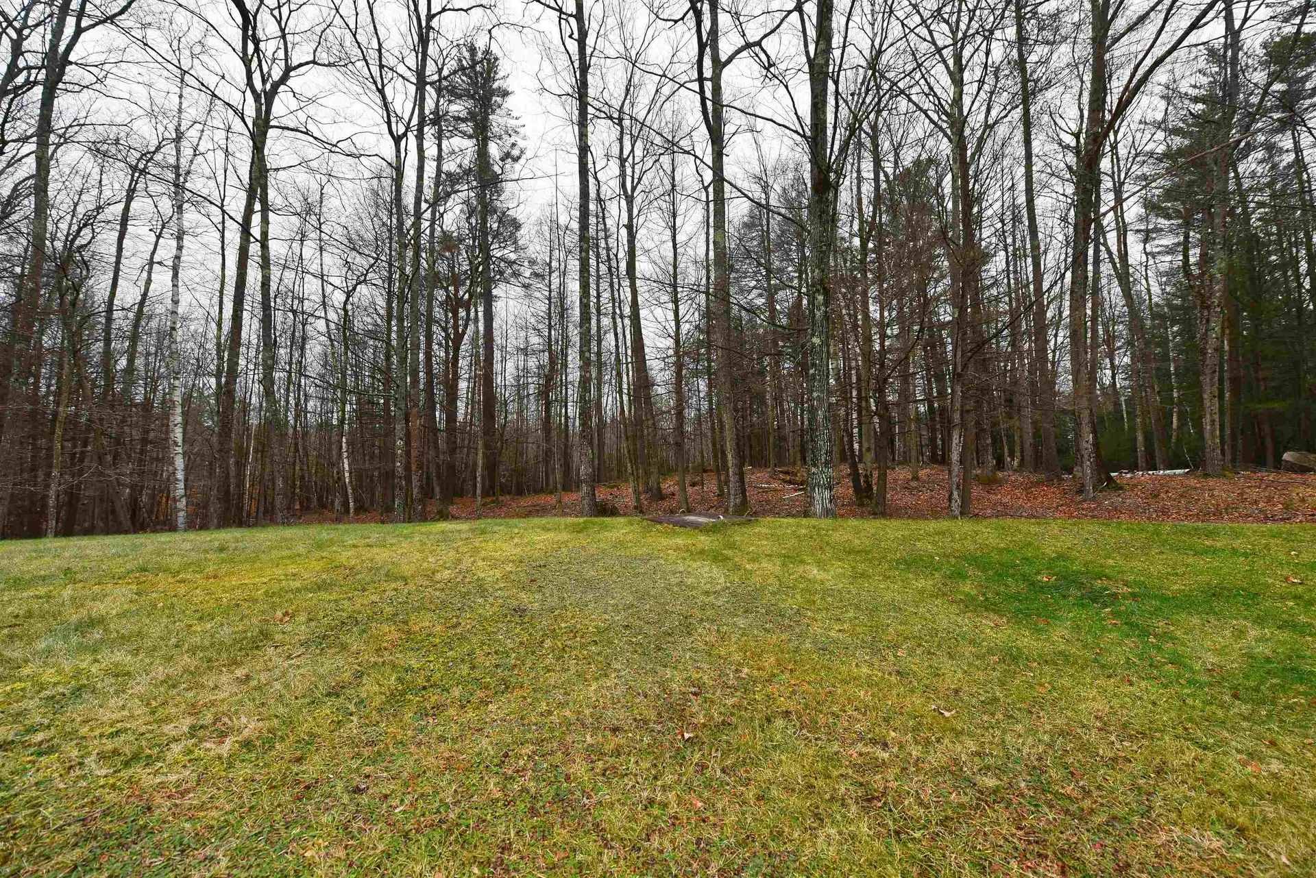 229 Ledgewood Road Extension Conway NH 03860