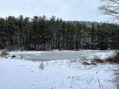 57 Cedar Lane Monkton VT 05473