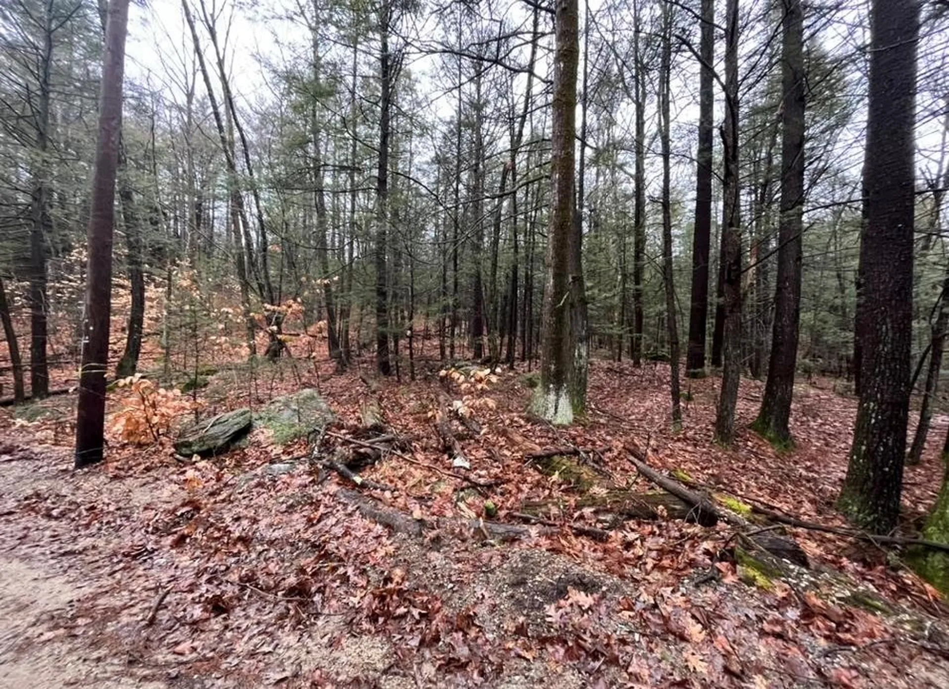 69 Purgatory Road Mont Vernon NH 03057