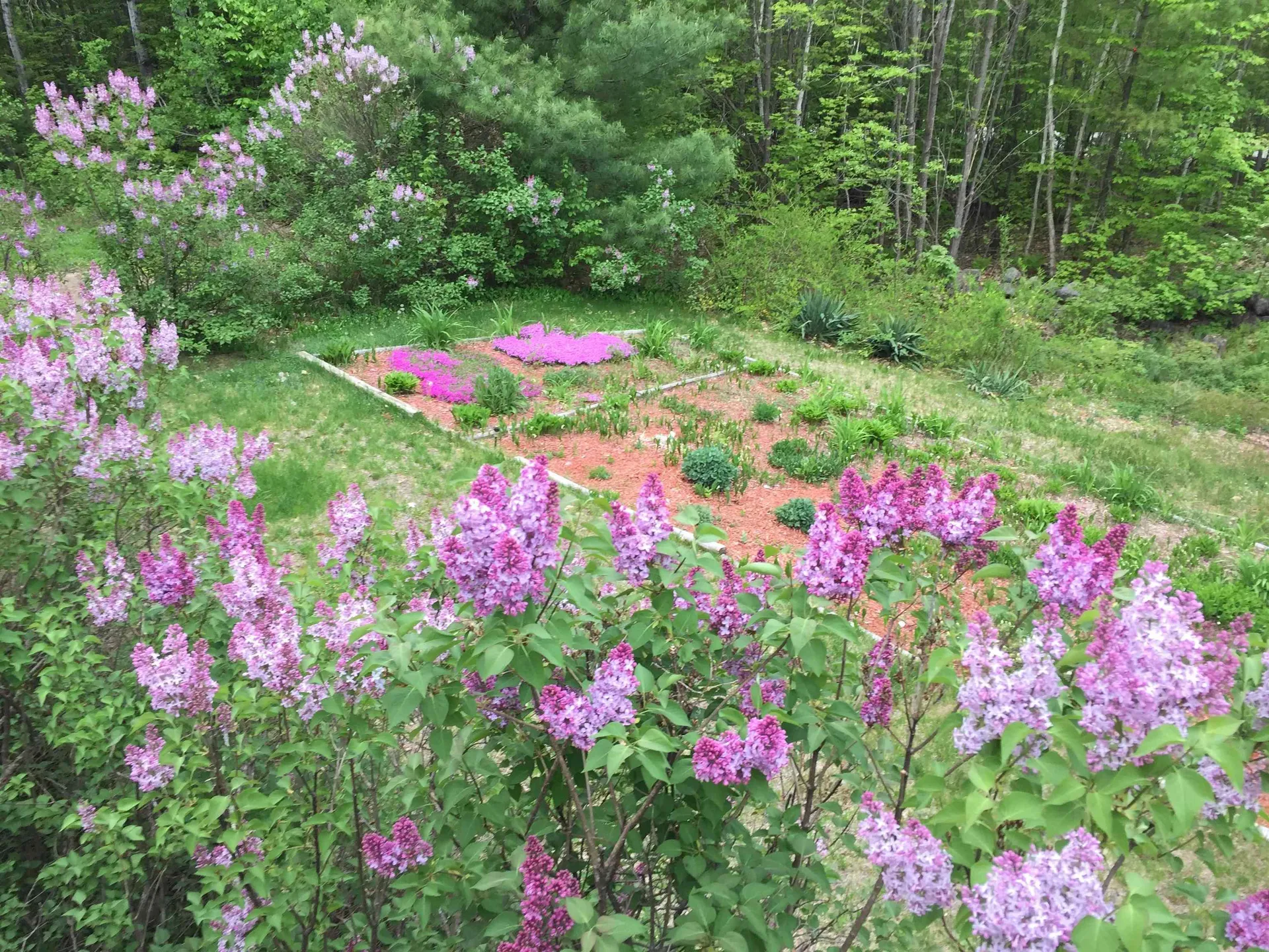 63 Westview Drive Madison NH 03849