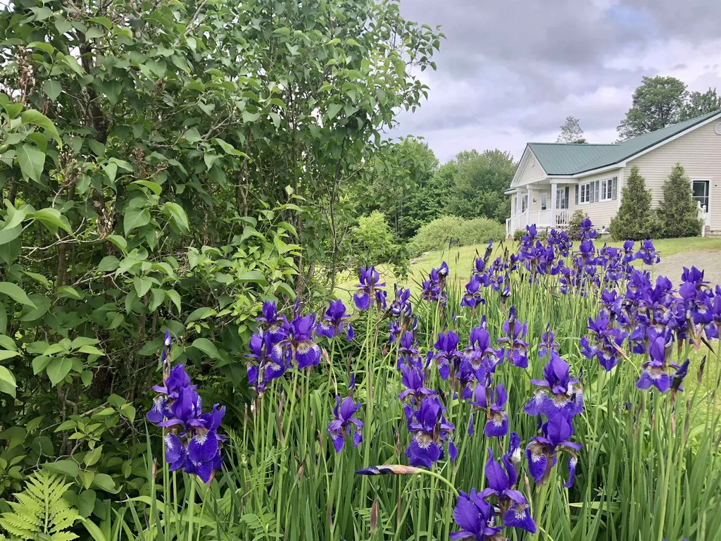 60 Hall Road Wilmington VT 05363