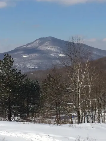 90 Snow Valley Road Winhall VT 05340