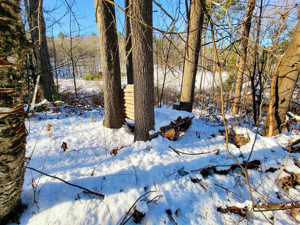 2775 Symes Pond Road Ryegate VT 05042