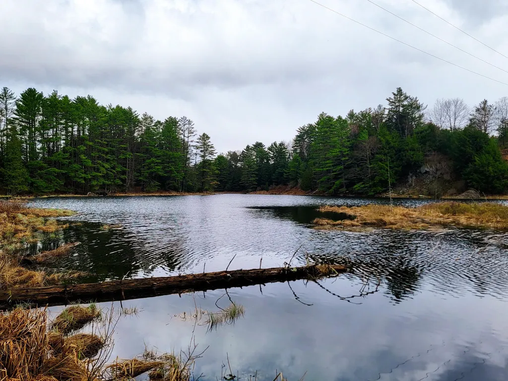 2775 Symes Pond Road Ryegate VT 05042