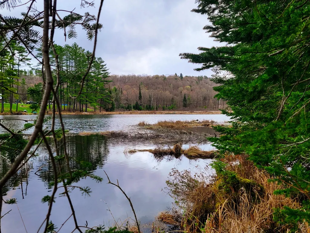 2775 Symes Pond Road Ryegate VT 05042