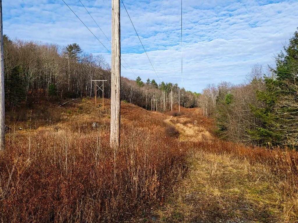 2775 Symes Pond Road Ryegate VT 05042