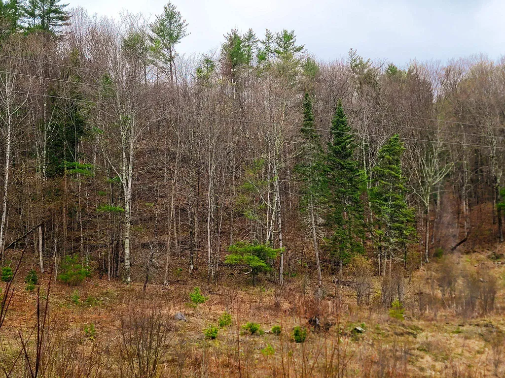 2775 Symes Pond Road Ryegate VT 05042