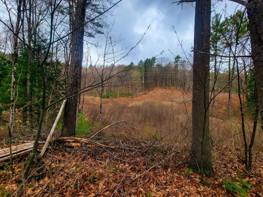 2775 Symes Pond Road Ryegate VT 05042