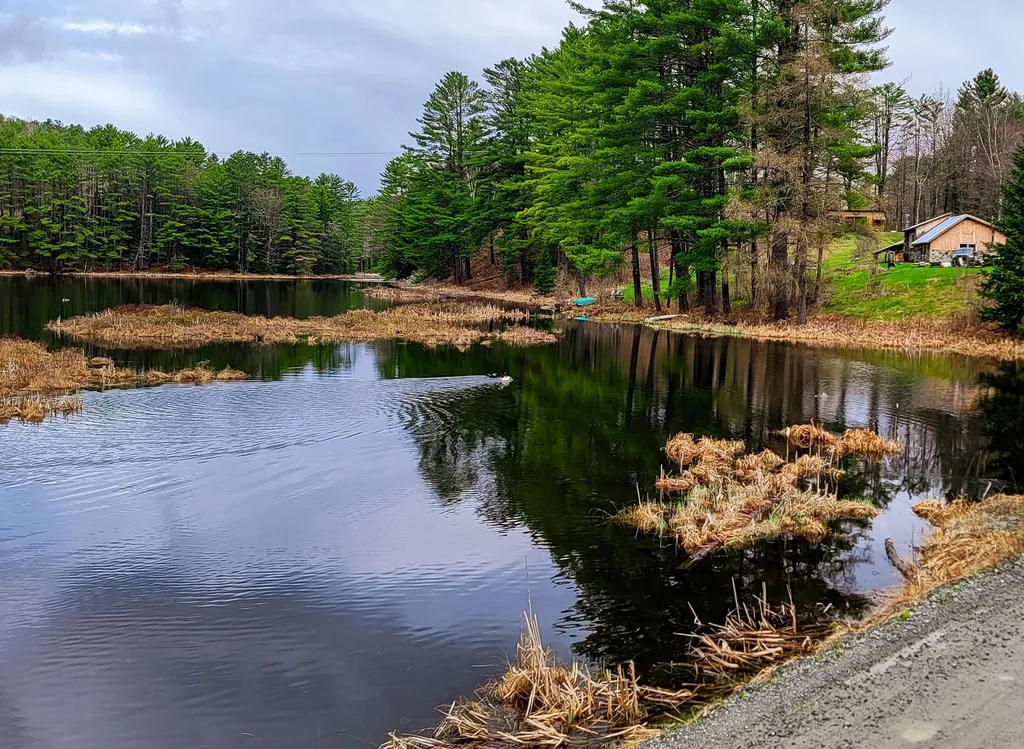 2775 Symes Pond Road Ryegate VT 05042