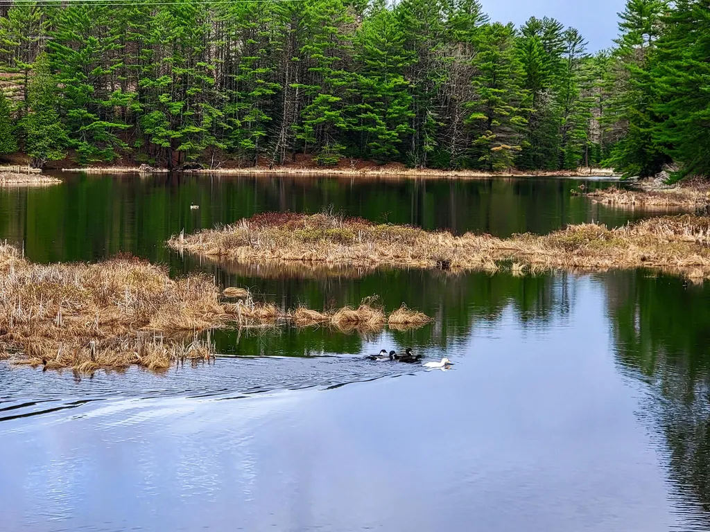 2775 Symes Pond Road Ryegate VT 05042