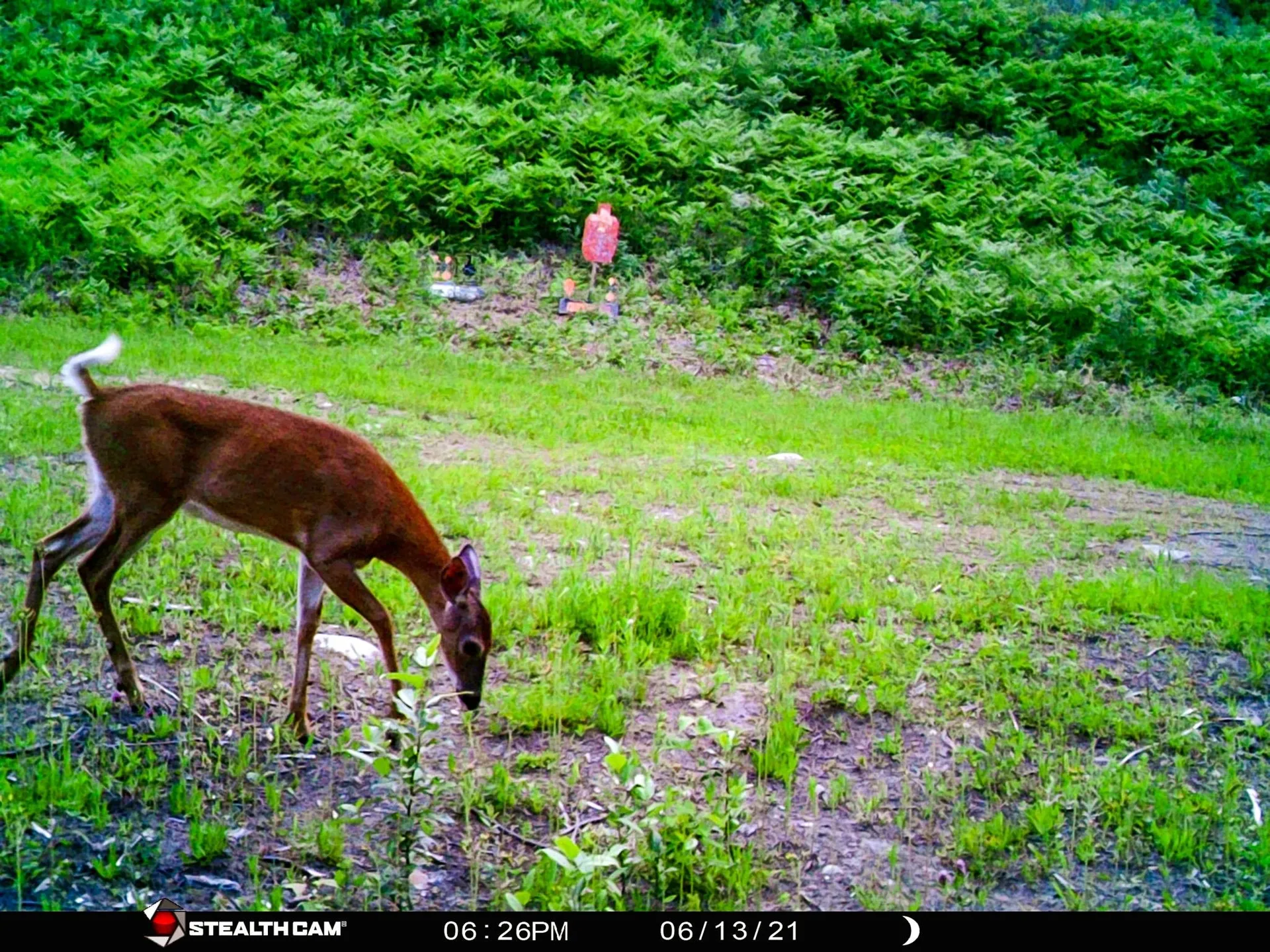 2775 Symes Pond Road Ryegate VT 05042