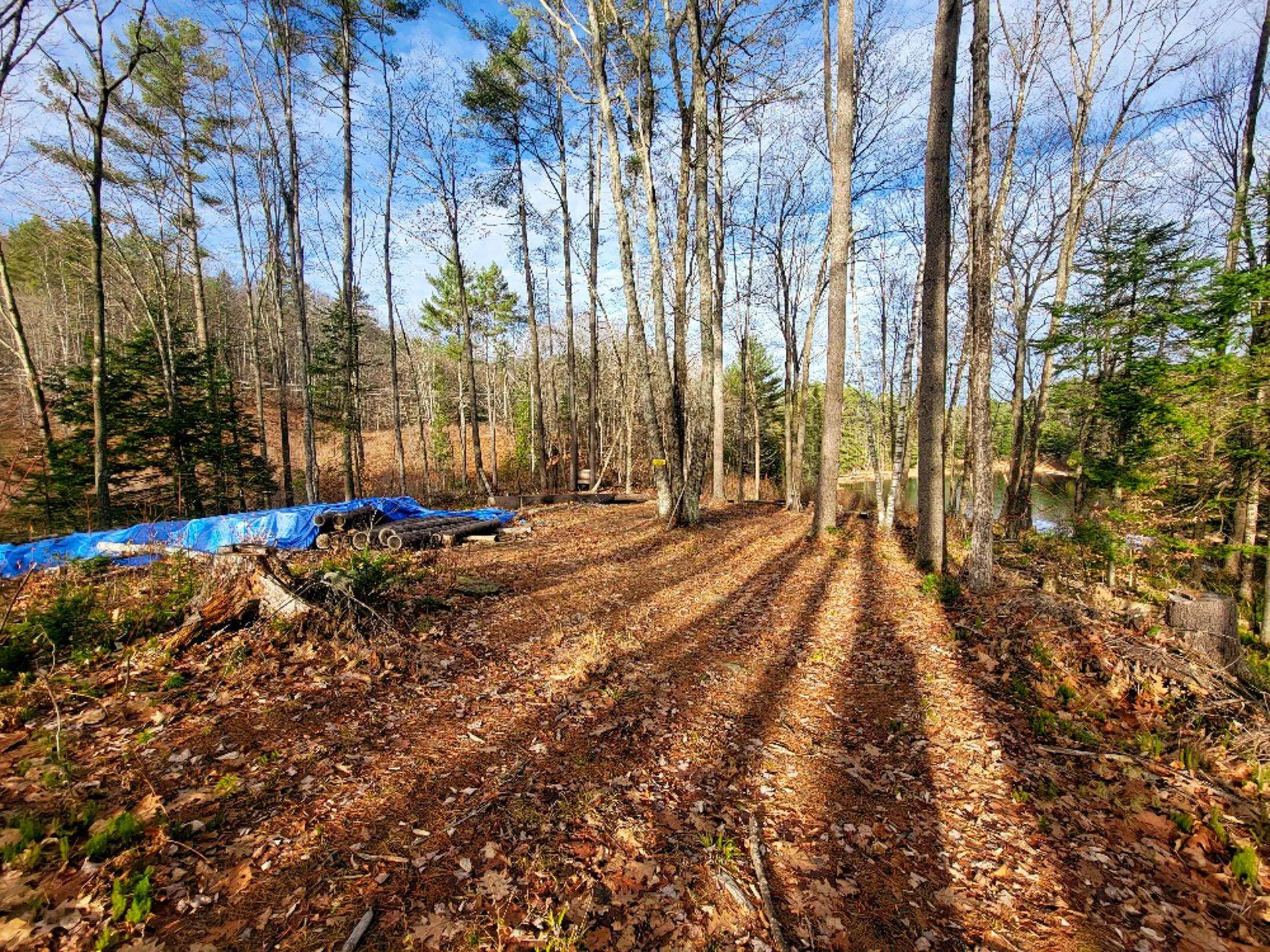 2775 Symes Pond Road Ryegate VT 05042