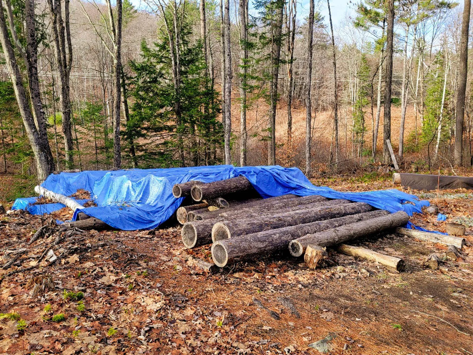 2775 Symes Pond Road Ryegate VT 05042